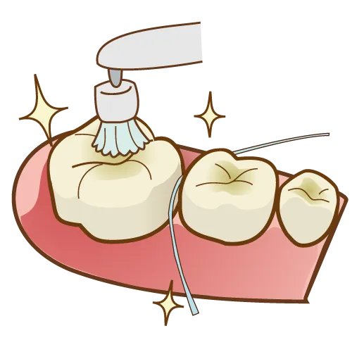 定期的なクリーニングで健康を維持